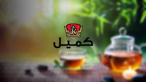 وب سایت شرکتی پارس کمیل بیهق، طراحی، سئو، تولید محتوا و پشتیبانی توسط وبتریکس تیم